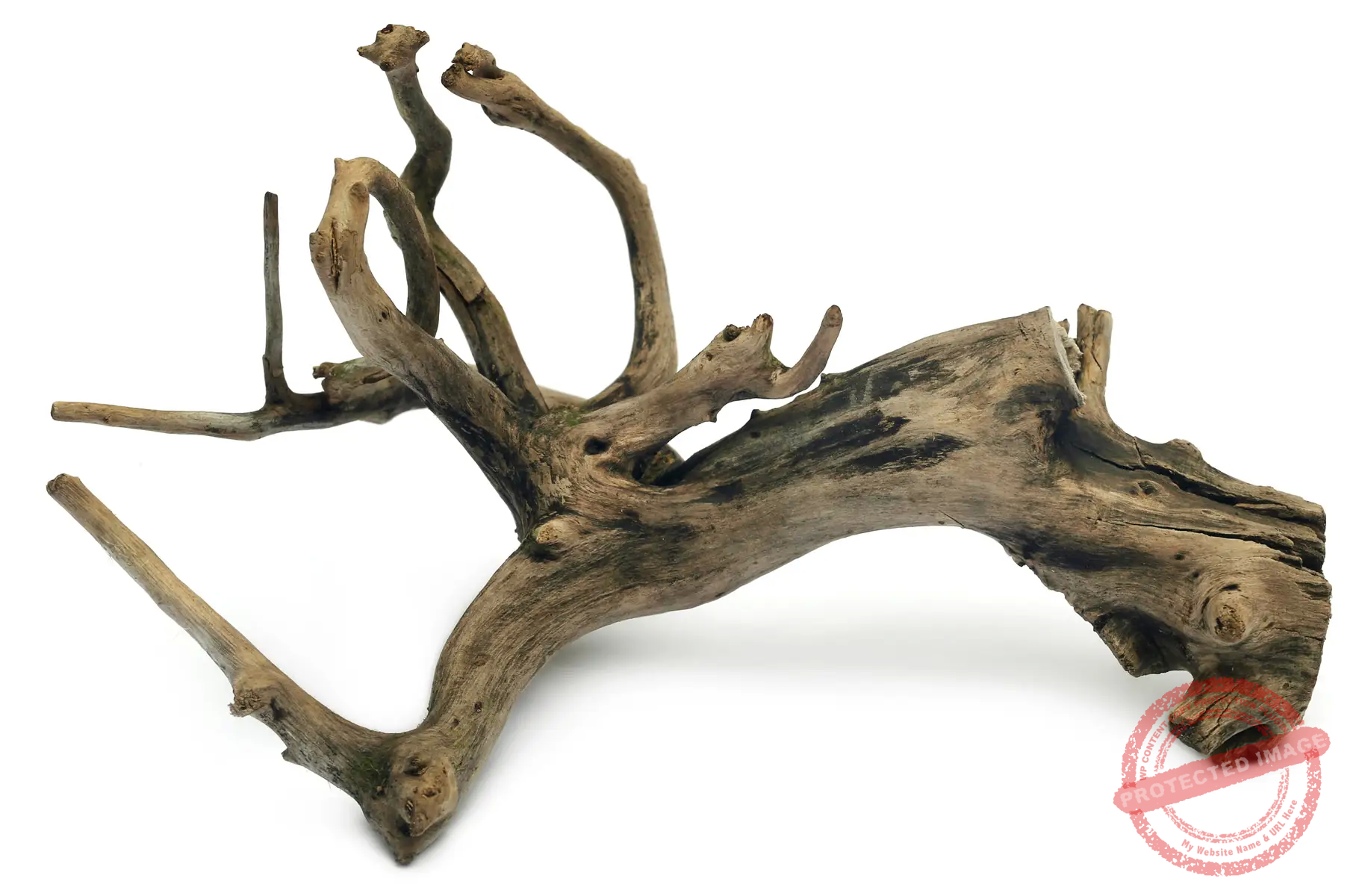 Sculpture-3